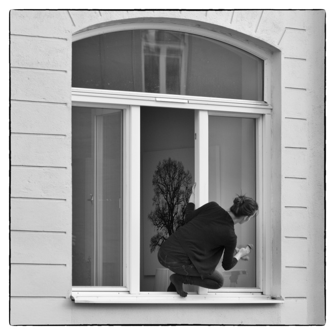 window_cleaning-hi
